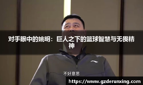 对手眼中的姚明：巨人之下的篮球智慧与无畏精神